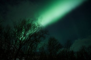 Tromso, Norveç 'te Kuzey Işıklarının Büyüsü. Yüksek kalite fotoğraf