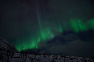 Tromso, Norveç 'te Kuzey Işıklarının Büyüsü. Yüksek kalite fotoğraf