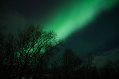Tromso, Norveç 'te Kuzey Işıklarının Büyüsü. Yüksek kalite fotoğraf