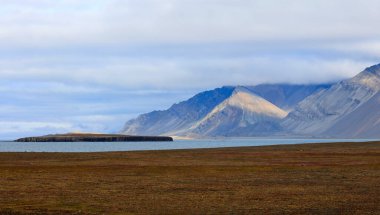 Bamsebu 'nun Svalbard' daki manzarası. Yüksek kalite fotoğraf