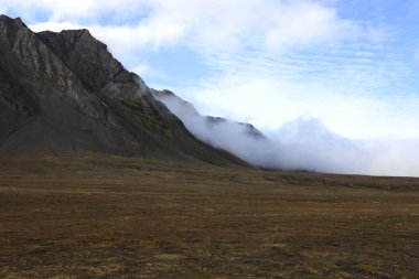 Bamsebu 'nun Svalbard' daki manzarası. Yüksek kalite fotoğraf