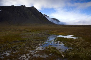 Bamsebu 'nun Svalbard' daki manzarası. Yüksek kalite fotoğraf