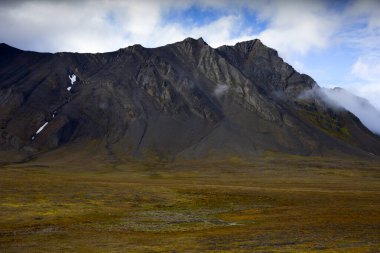 Bamsebu 'nun Svalbard' daki manzarası. Yüksek kalite fotoğraf