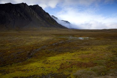 Bamsebu 'nun Svalbard' daki manzarası. Yüksek kalite fotoğraf