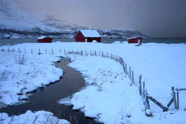 Tromvik, Norveç 'te kış manzarası. Yüksek kalite fotoğraf