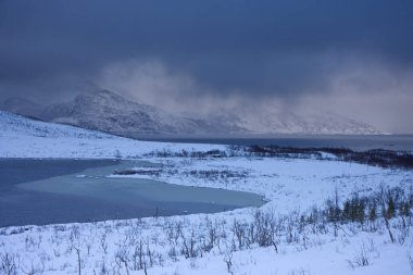 Rekvikvatnet Gölü, Tromvik, Norveç. Yüksek kalite fotoğraf