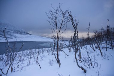 Rekvikvatnet lake in Tromvik, Norway. High quality photo clipart