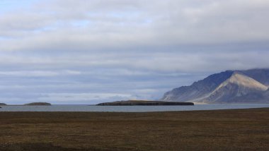 Bamsebu 'nun Svalbard' daki manzarası. Yüksek kalite fotoğraf