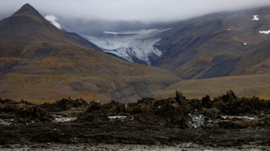 Svalbard 'daki Keulen Fjord' un manzaraları. Yüksek kalite fotoğraf