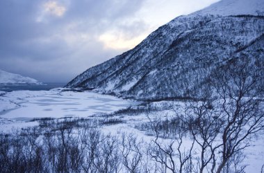 Norveç 'teki Grotfjord' un panoramik manzarası. Yüksek kalite fotoğraf