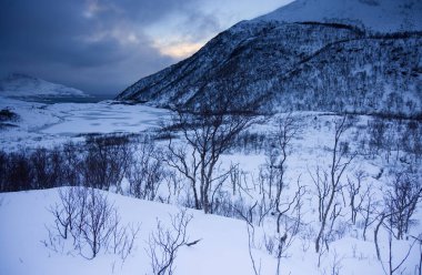 Panoramic view of Grotfjord in Norway. High quality photo clipart