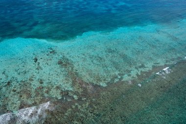 Belize Bariyer Resifi 'nin hava görüntüsü. Yüksek kalite fotoğraf