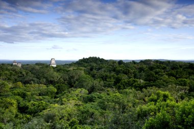 Tikal Arkeoloji Bölgesi, Maya harabeleri, Guatemala. Yüksek kalite fotoğraf