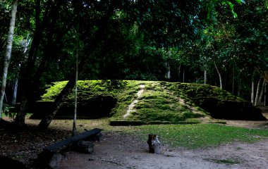 Tikal Arkeoloji Bölgesi, Maya harabeleri, Guatemala. Yüksek kalite fotoğraf