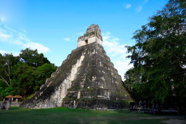 Guatemala, Tikal 'daki Gran Plaza anıtlarının manzarası. Yüksek kalite fotoğraf