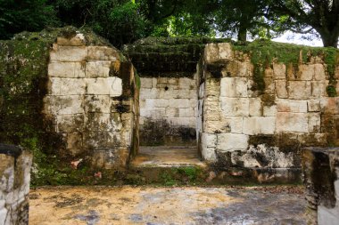 Tikal Arkeoloji Bölgesi, Maya harabeleri, Guatemala. Yüksek kalite fotoğraf
