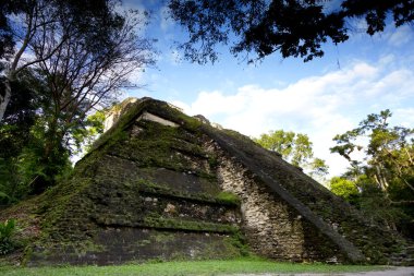 Tikal Arkeoloji Bölgesi, Maya harabeleri, Guatemala. Yüksek kalite fotoğraf