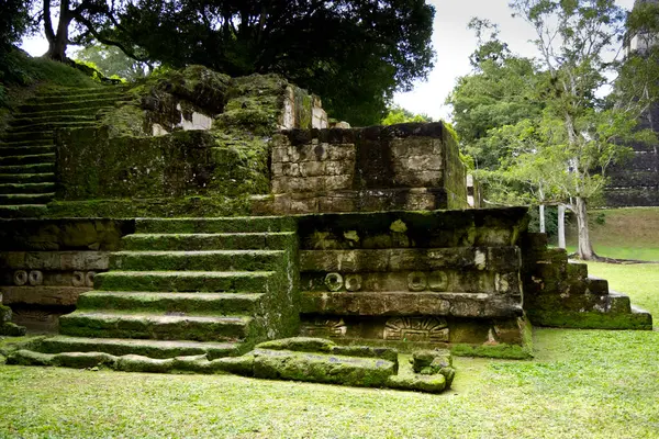 Tikal Arkeoloji Bölgesi, Maya harabeleri, Guatemala. Yüksek kalite fotoğraf