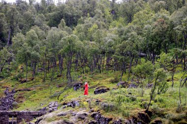 Norveç Ormanı 'ndaki Kjosfossen Şelalesi Gezginleri' nin Ruhu. Yüksek kalite fotoğraf
