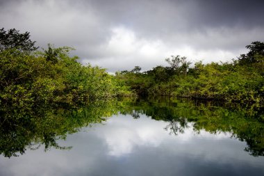 Flores, Guatemala yakınlarındaki Azul kraterinin muhteşem suyu. Yüksek kalite fotoğraf