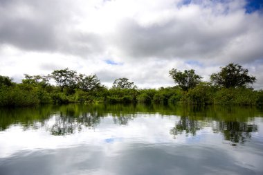 Flores, Guatemala yakınlarındaki Azul kraterinin muhteşem suyu. Yüksek kalite fotoğraf