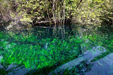 Flores, Guatemala yakınlarındaki Azul kraterinin muhteşem suyu. Yüksek kalite fotoğraf