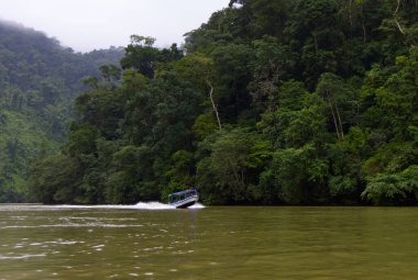 Sabah sisi, Rio Dulce, Guatemala 'dan geçiyor. Yüksek kalite fotoğraf