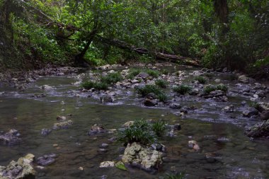 Yedi Sunak Şelalesi Havuzu, Livingston, Guatemala. Yüksek kalite fotoğraf