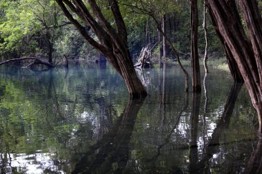 Flores, Guatemala yakınlarındaki Azul kraterinin muhteşem suyu. Yüksek kalite fotoğraf
