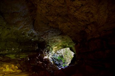 Mount Pine Ridge Ormanı 'ndaki Rio Frio Mağaraları, Belize. Yüksek kalite fotoğraf