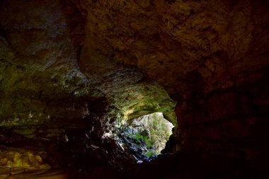 Mount Pine Ridge Ormanı 'ndaki Rio Frio Mağaraları, Belize. Yüksek kalite fotoğraf