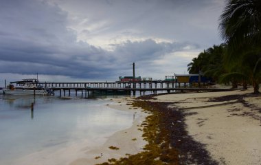 Fırtınadan önce Caye Caulker plajı, Belize. Yüksek kalite fotoğraf