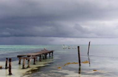 Fırtınadan önce Caye Caulker plajı, Belize. Yüksek kalite fotoğraf