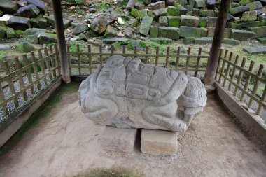 Quirigua Sitesi, Guatemala 'da Maya Stele. Yüksek kalite fotoğraf