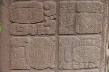 Guatemala 'daki Quirigua sahasındaki Maya çeliğinin ayrıntıları. Yüksek kalite fotoğraf