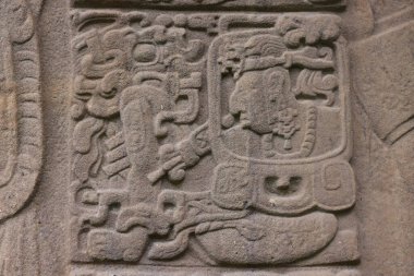 Guatemala 'daki Quirigua sahasındaki Maya çeliğinin ayrıntıları. Yüksek kalite fotoğraf