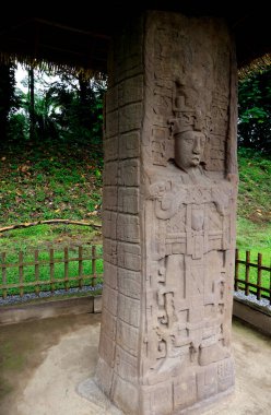 Quirigua Sitesi, Guatemala 'da Maya Stele. Yüksek kalite fotoğraf