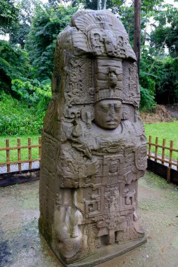 Quirigua Sitesi, Guatemala 'da Maya Stele. Yüksek kalite fotoğraf