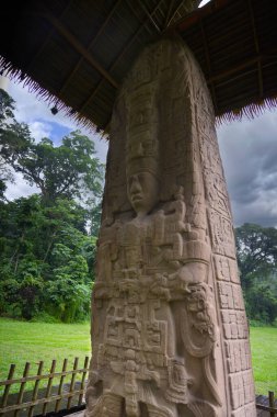 Quirigua Sitesi, Guatemala 'da Maya Stele. Yüksek kalite fotoğraf