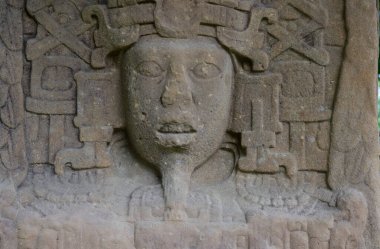 Guatemala 'daki Quirigua sahasındaki Maya çeliğinin ayrıntıları. Yüksek kalite fotoğraf