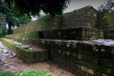 Guatemala 'daki Quirigua Maya şehrinin kalıntıları. Yüksek kalite fotoğraf