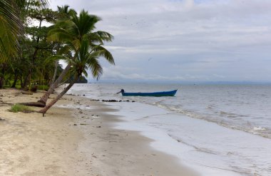 Guatemala 'daki Livingston Sahili. Yüksek kalite fotoğraf