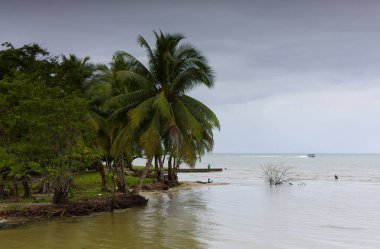 Guatemala 'daki Livingston Sahili. Yüksek kalite fotoğraf