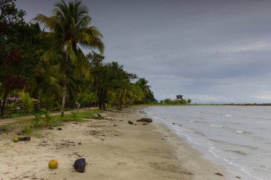 Guatemala 'daki Livingston Sahili. Yüksek kalite fotoğraf