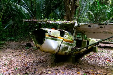 Horoz Kovanı Havzası Vahşi Yaşam Sığınağı Ormanı, Belize 'de uçak kazası. Yüksek kalite fotoğraf