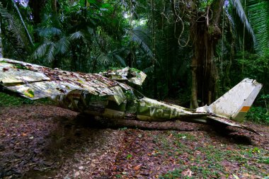 Horoz Kovanı Havzası Vahşi Yaşam Sığınağı Ormanı, Belize 'de uçak kazası. Yüksek kalite fotoğraf