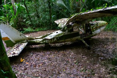 Horoz Kovanı Havzası Vahşi Yaşam Sığınağı Ormanı, Belize 'de uçak kazası. Yüksek kalite fotoğraf