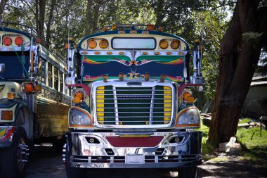 Guatemala 'nın Karakteristik Otobüsleri. Yüksek kalite fotoğraf