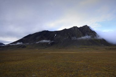 Norveç, Svalbard Adaları 'nın manzarası. Yüksek kalite fotoğraf