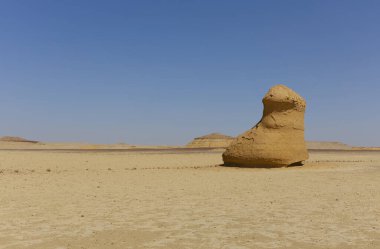 Balina Çölü, diğer adıyla Wadi Al Hitan, Mısır. Yüksek kalite fotoğraf